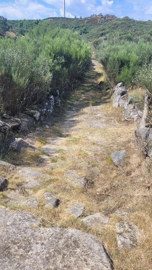 Casinhas Da Eira Caramulo Turismo Rural Arca Exteriér fotografie