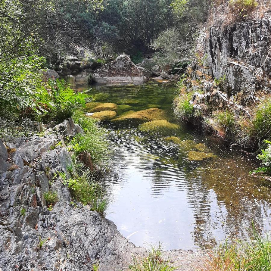 Casinhas Da Eira Caramulo Turismo Rural Arca Exteriér fotografie